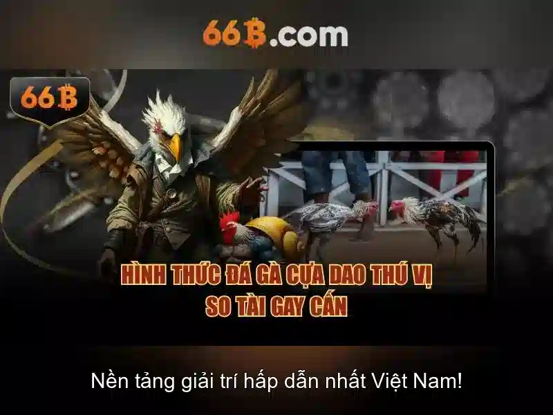 66B: Khái niệm, kiến trúc và tiềm năng