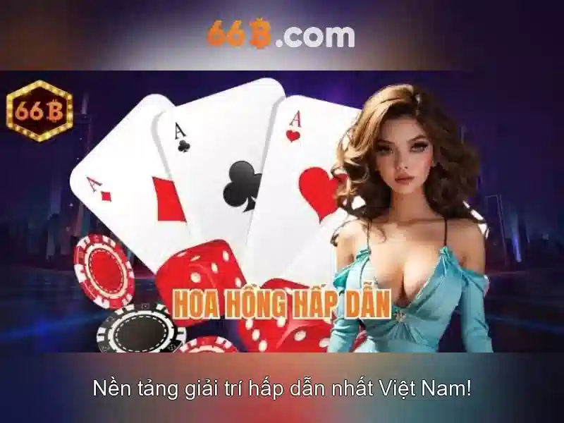 66B là gì?