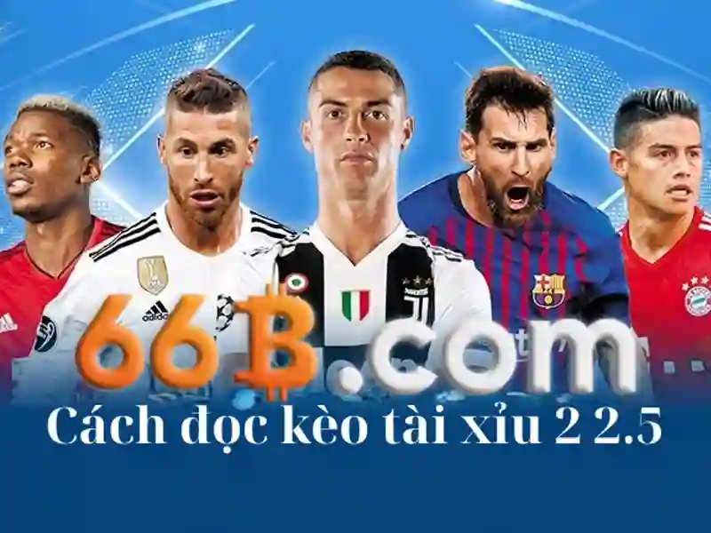 Tải 66b – Tổng quan chủ đề và giá trị