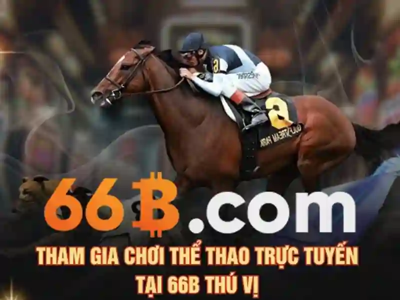 66B là gì?