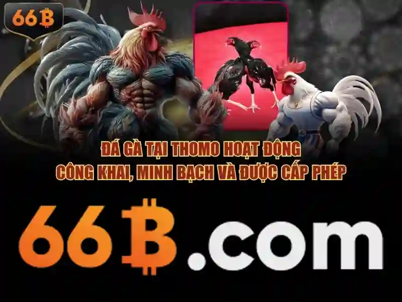 Cấu trúc và kích thước của 66B