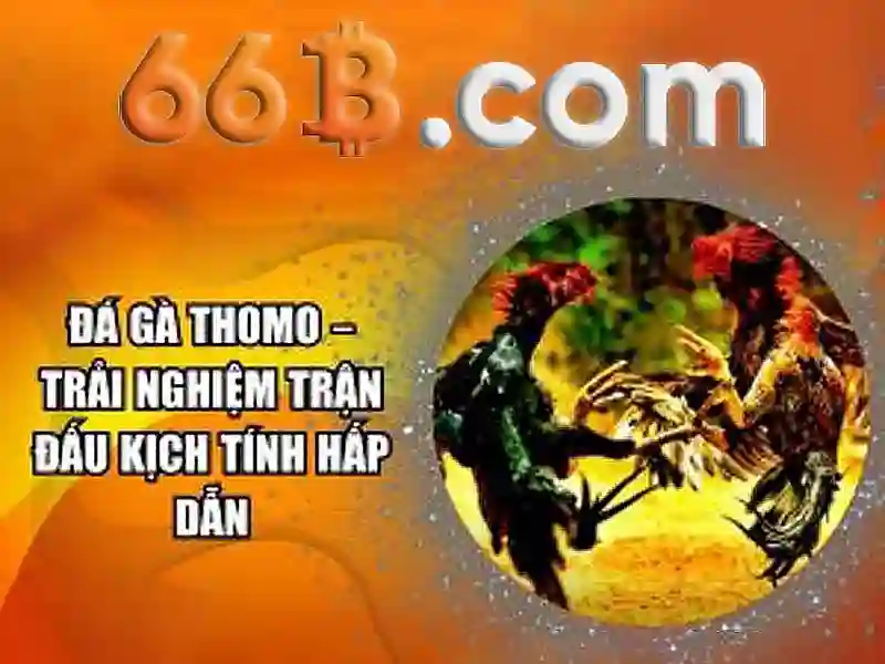 66b là gì và tại sao nó quan trọng