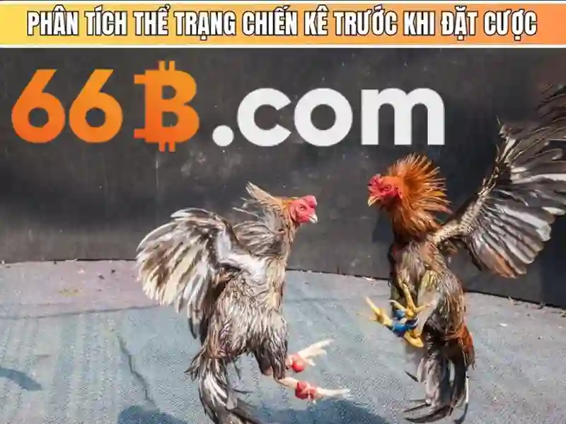 66b đỗ quang – hành trình thương hiệu và giá trị đột phá