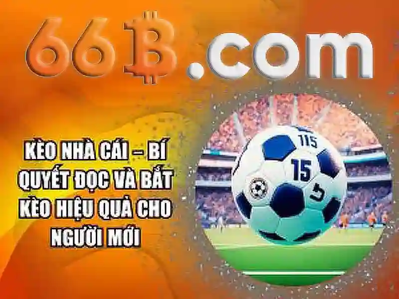 66B là gì và tại sao nó nổi bật