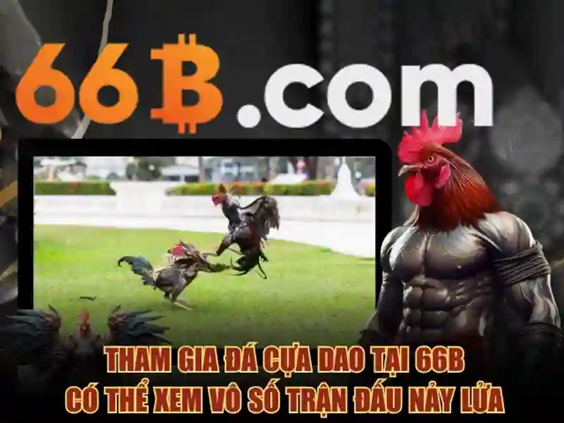 Quy trình huấn luyện và đánh giá của 66b