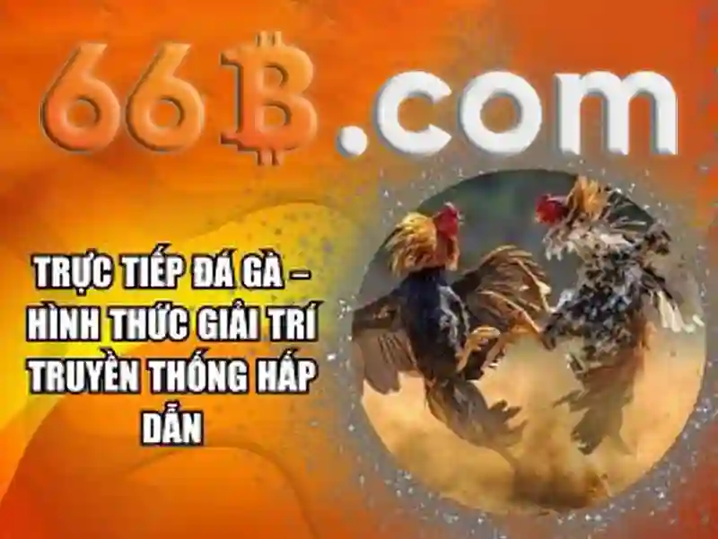 66b và hành trình khám phá