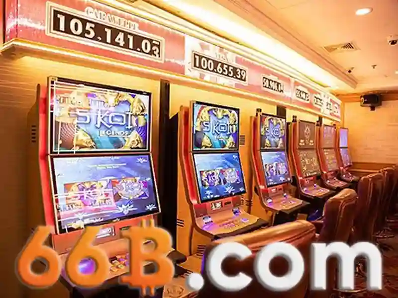 66B: Mô tả và ảnh hưởng