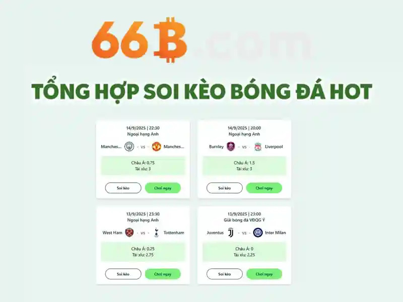 66b: bí ẩn và ứng dụng