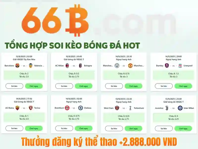 66b nhentai – tổng quan thương hiệu, ứng dụng và tương lai