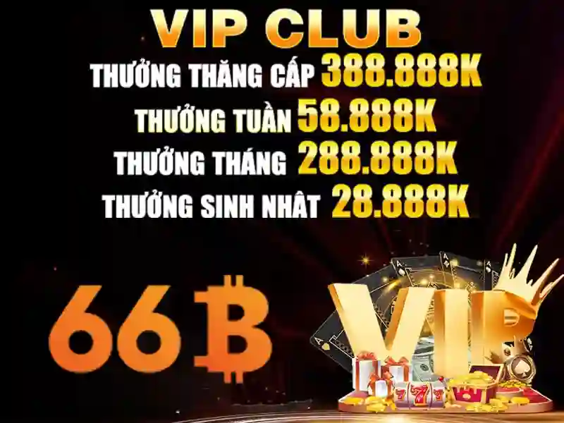 66B là gì?